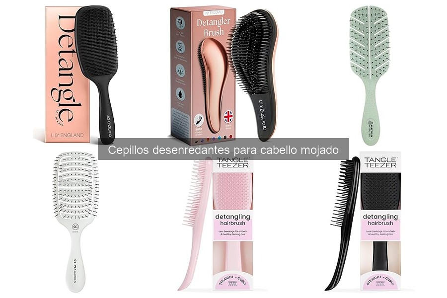 Dónde Comprar Cepillos Desenredantes para Cabello Mojado